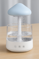 ✨ Serenity Rain Cloud Humidifier 🌧️